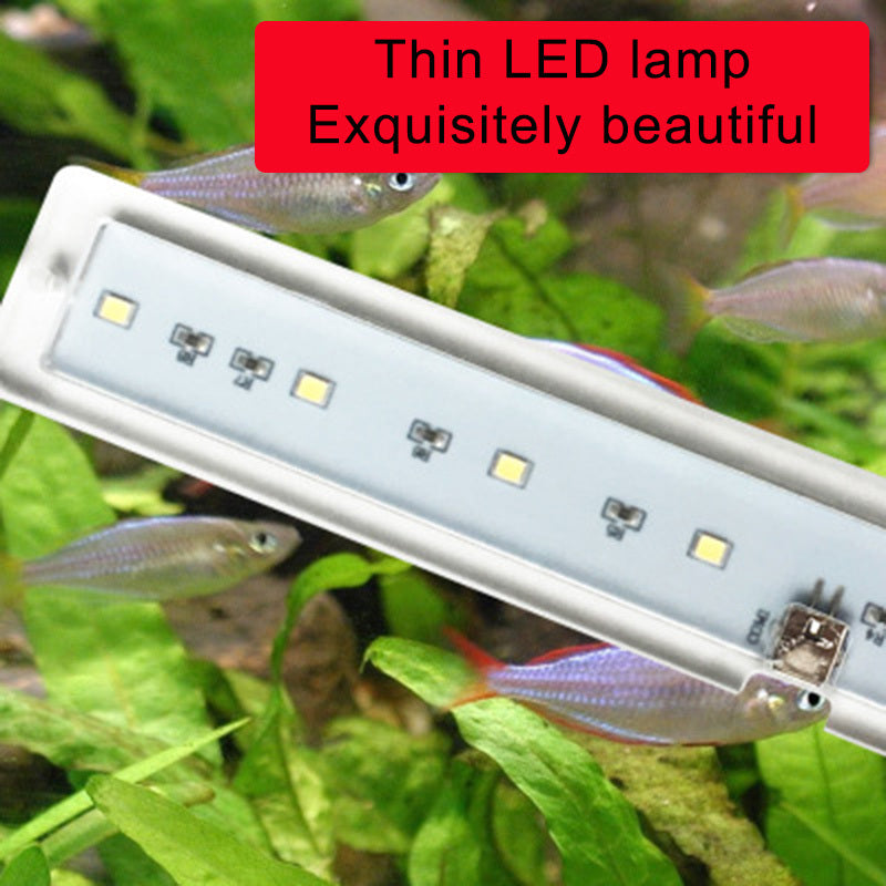 Luz LED para peceras